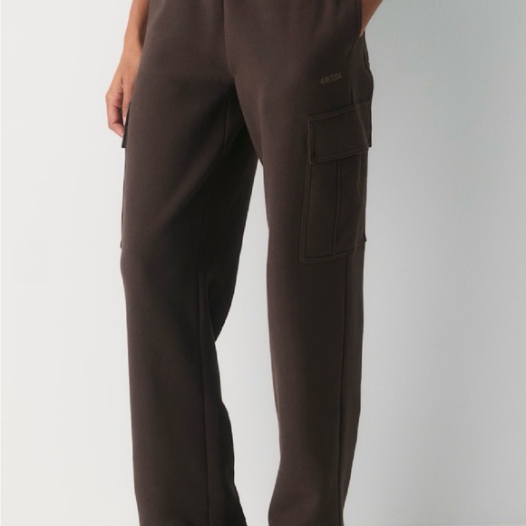 Aritzia Pants - Aritzia Cozy Sweatfleece Mega Cargo Sweatpants